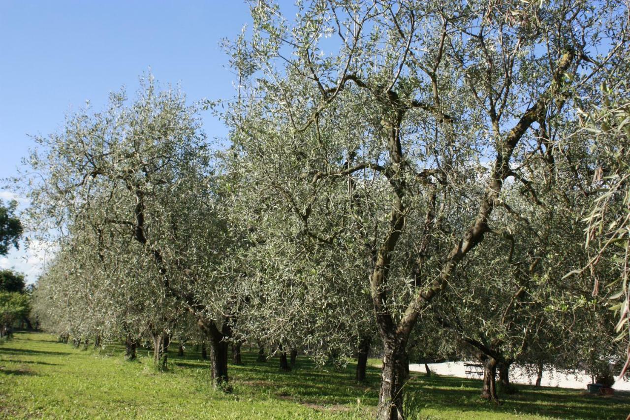 Antico Sobborgo Apartment Vitorchiano Luaran gambar